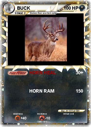 Pokemon BUCK