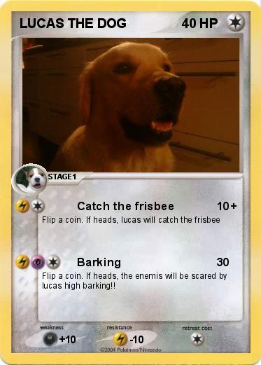 Pokemon LUCAS THE DOG