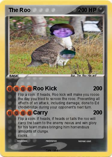 Pokemon The Roo