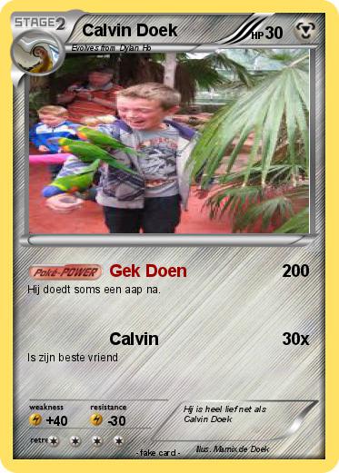 Pokemon Calvin Doek