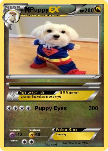 Pokemon Puppy