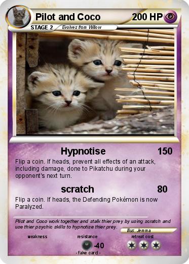 Pokemon Pilot and Coco Pokemon Pilot and Coco