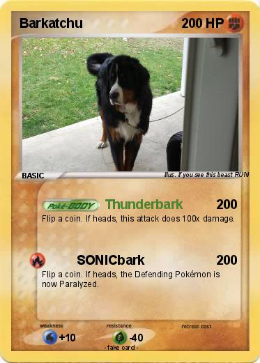 Pokemon Barkatchu