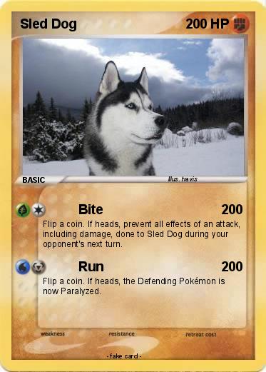 Pokemon Sled Dog