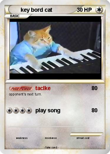 Pokemon key bord cat