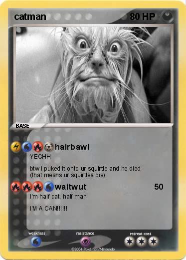 Pokemon catman