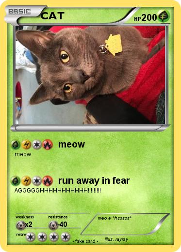 Pokemon CAT