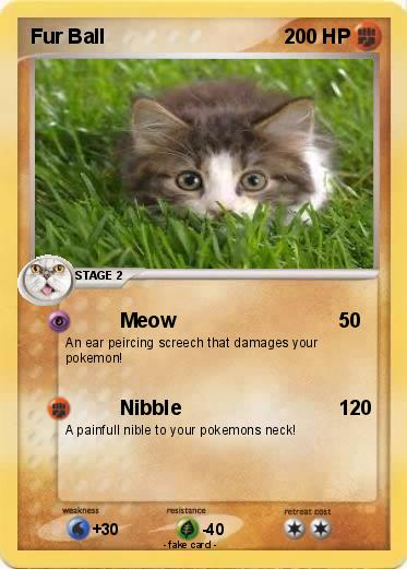 Pokemon Fur Ball