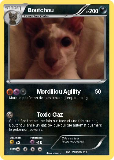 Pokemon Boutchou