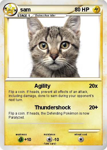 Pokemon sam