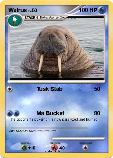 Pokemon Walrus