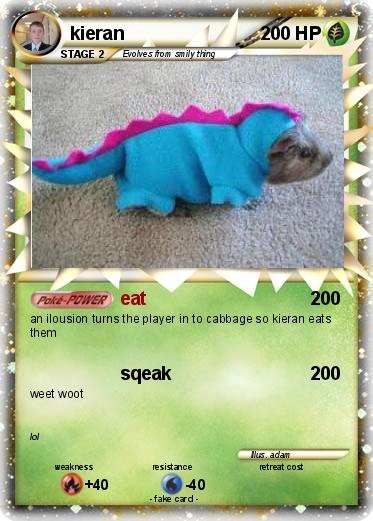 Pokemon kieran