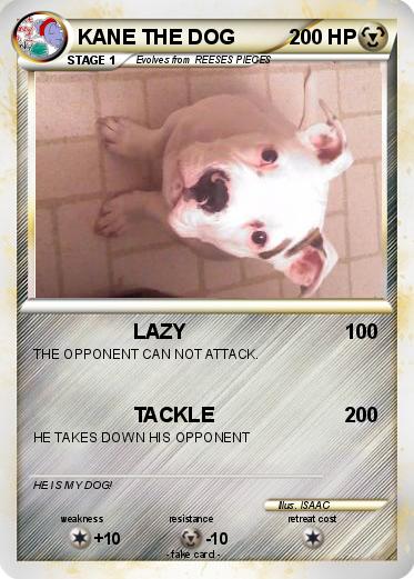 Pokemon KANE THE DOG