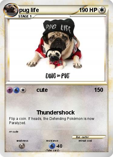 Pokemon pug life