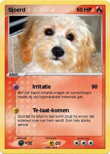 Pokemon Sjoerd