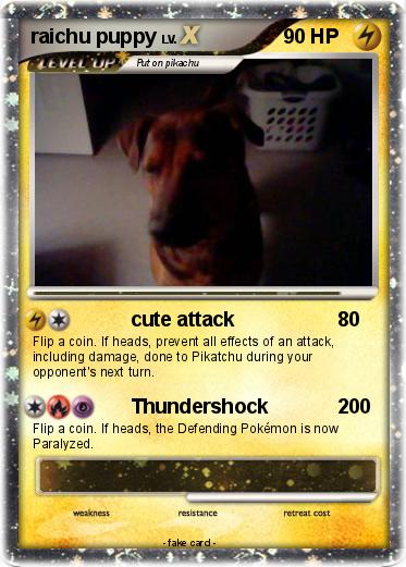 Pokemon raichu puppy