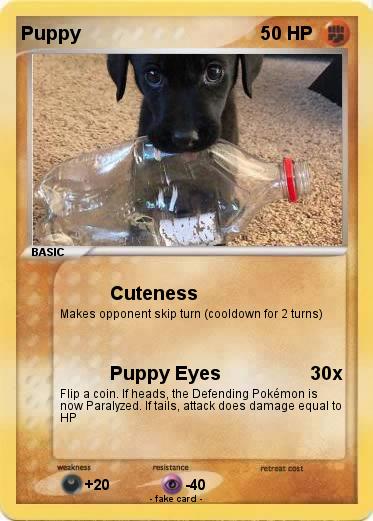 Pokemon Puppy