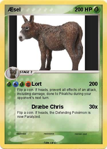 Pokemon Æsel