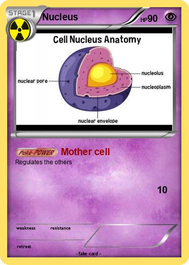 Pokemon Nucleus Pokemon Nucleus