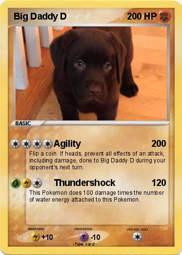 Pokemon Big Daddy D