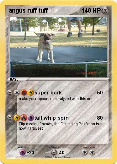 Pokemon angus ruff tuff