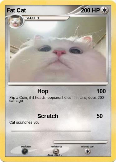 Pokemon Fat Cat