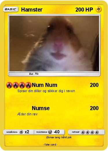 Pokemon Hamster