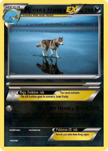 Pokemon Joses Husky