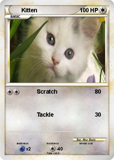 Pokemon Kitten