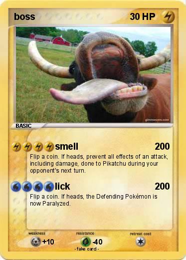Pokemon boss