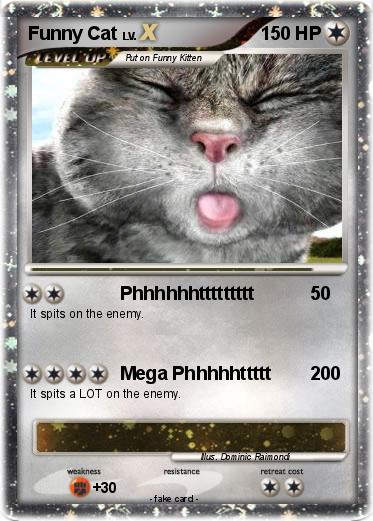 Pokemon Funny Cat