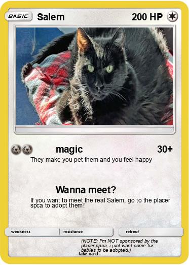 Pokemon Salem