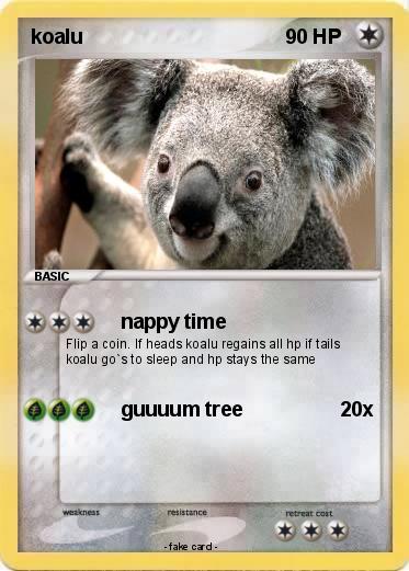 Pokemon koalu