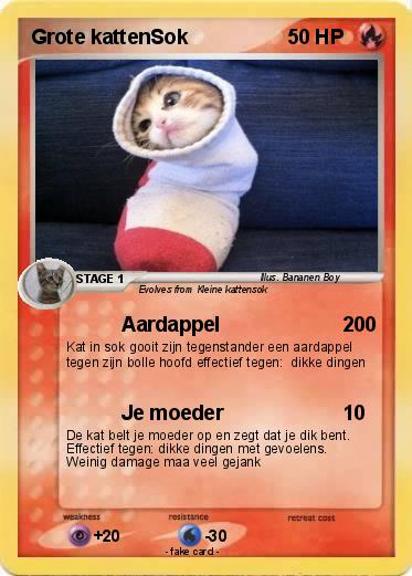 Pokemon Grote kattenSok