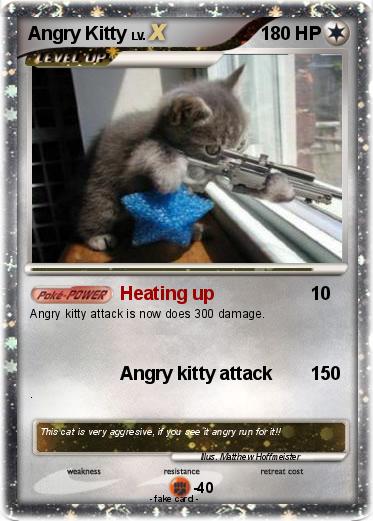 Pokemon Angry Kitty