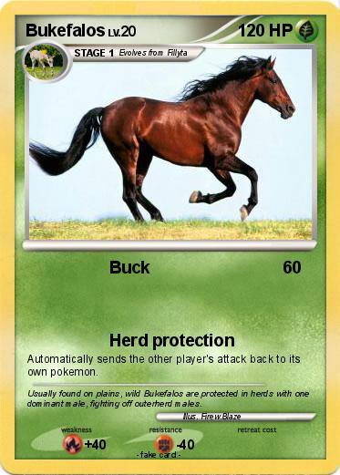 Pokemon Bukefalos