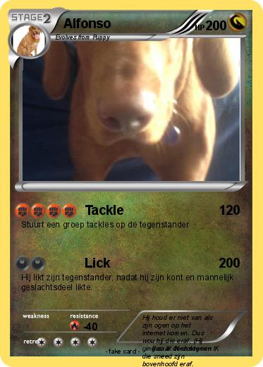 Pokemon Alfonso