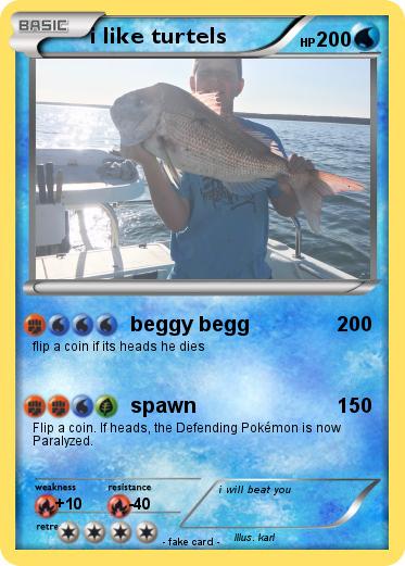 Pokemon i like turtels