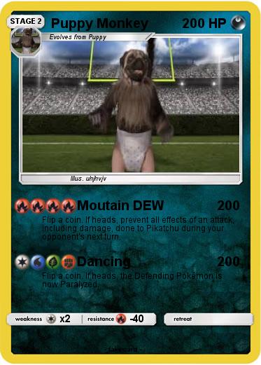 Pokemon Puppy Monkey