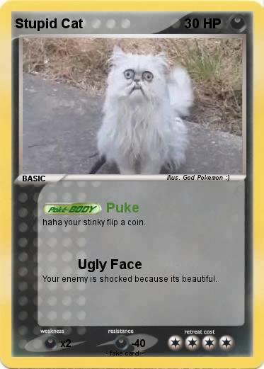 Pokemon Stupid Cat