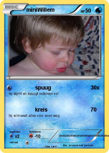 Pokemon miniWillem