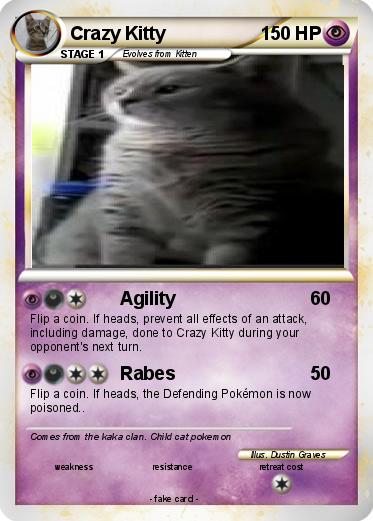 Pokemon Crazy Kitty