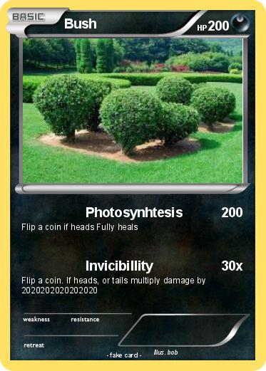 Pokemon Bush