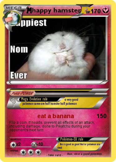 Pokemon happy hamster