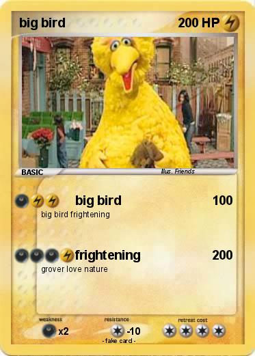 Pokemon big bird