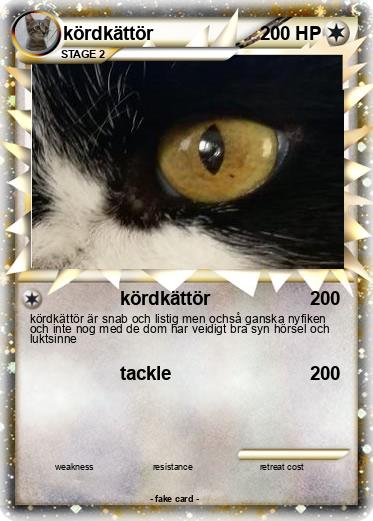Pokemon kördkättör