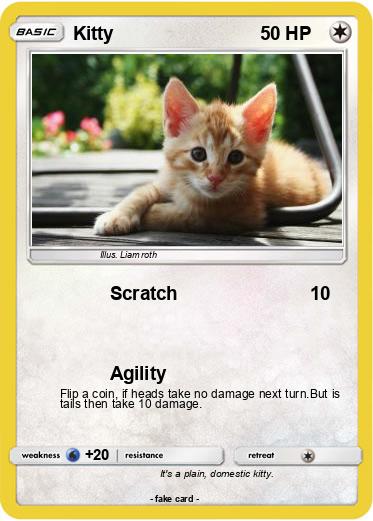 Pokemon Kitty