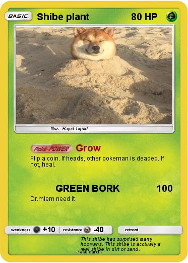 Pokemon Shibe plant
