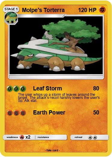 Pokemon Molpe's Torterra