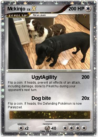 Pokemon Mckinjo